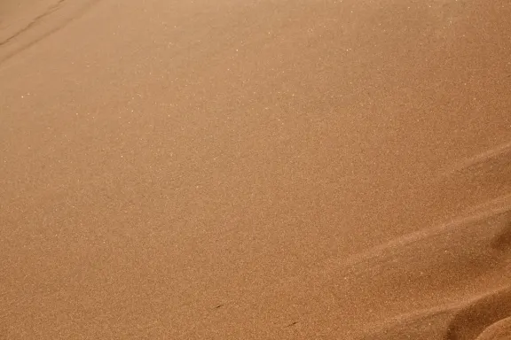 Kazino Bingo Millionaire Atbalsts